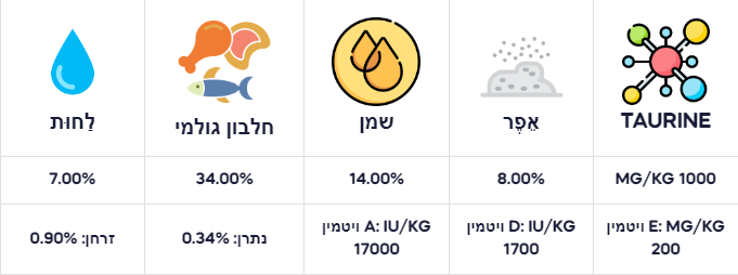 ללא שם