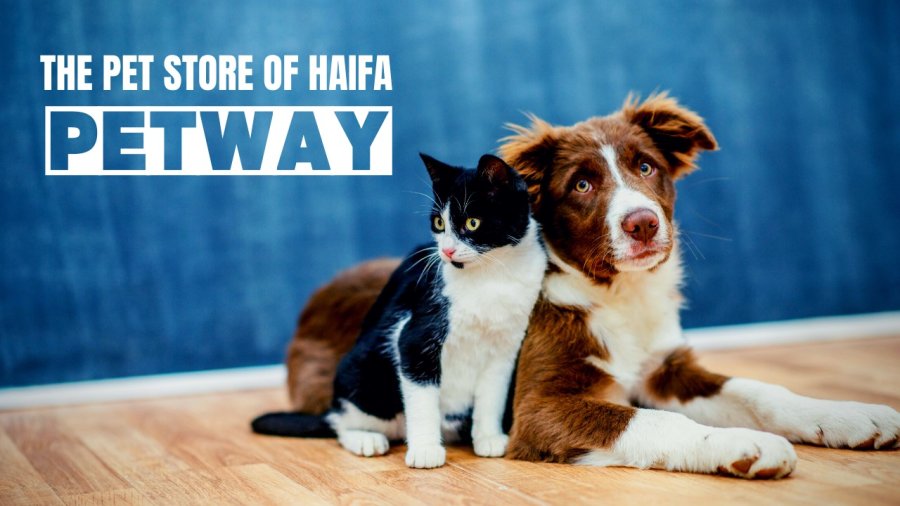 Pet Store in Haifa