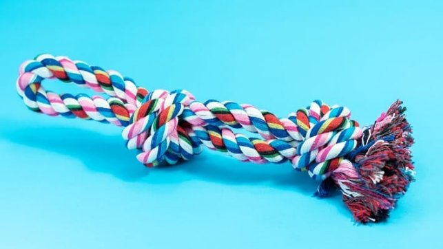 חנות חיות בערד