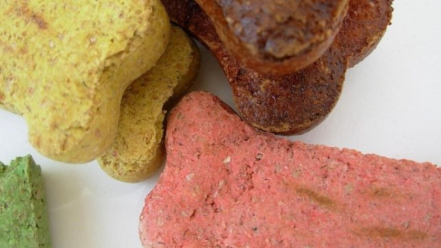 בחירת סוג המזון המתאים לכלב שלכם