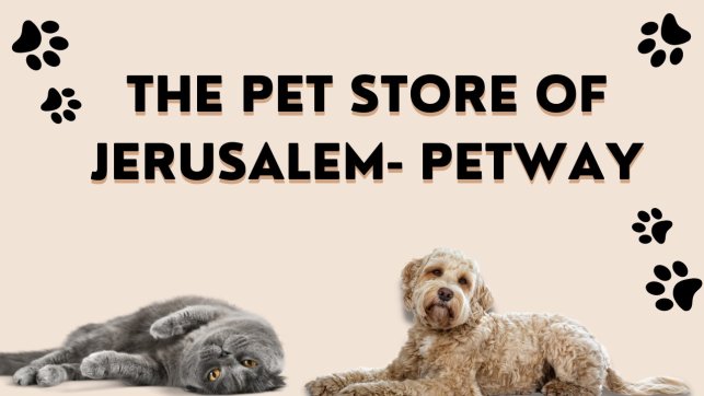 Pet Store in Jerusalem