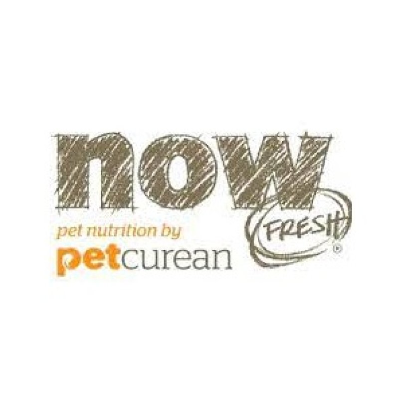 נאו - NOW לכלבים וחתולים