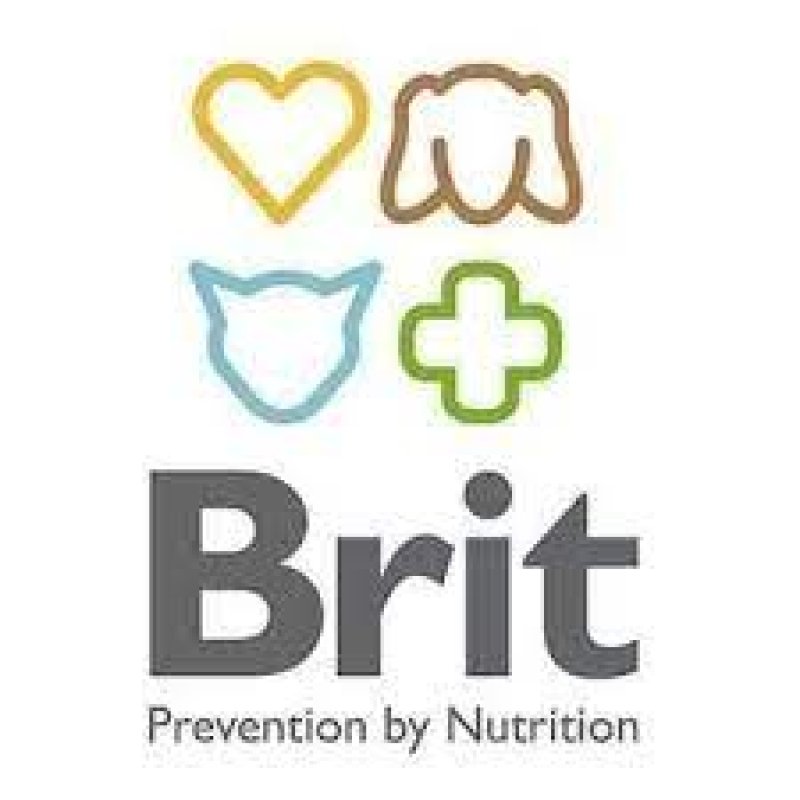 בריט - BRIT