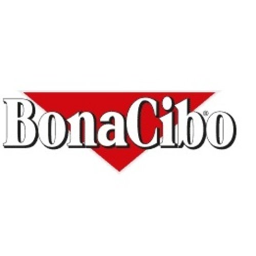 BonaciboLogo-1