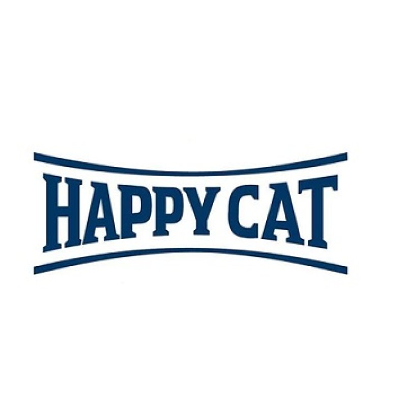 הפי קט - happy cat