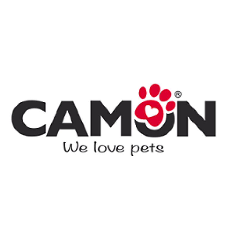 קמון-CAMON