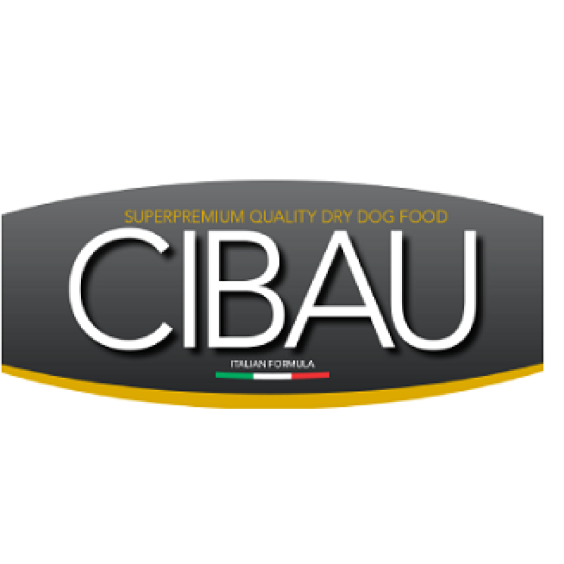 סיבאו - CIBAU