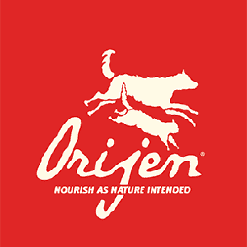 אוריג'ן - orijen לכלבים וחתולים