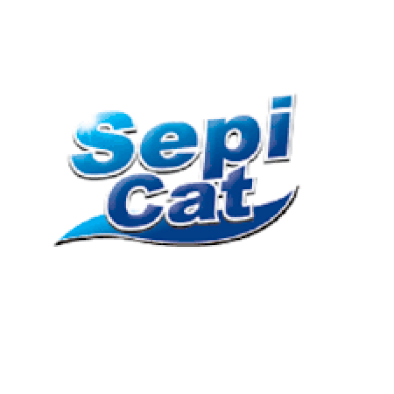 ספי קט - Sepi Cat