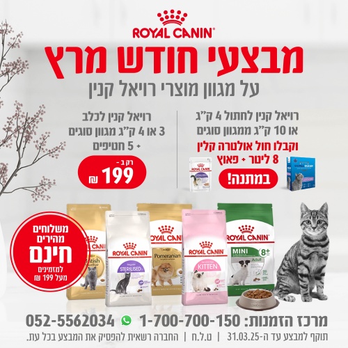 רויאל קנין אינסטגרם