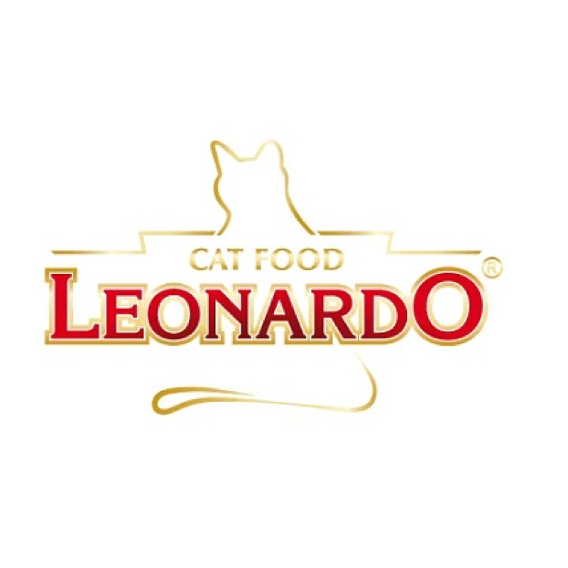 לאונרדו - LEONARDO