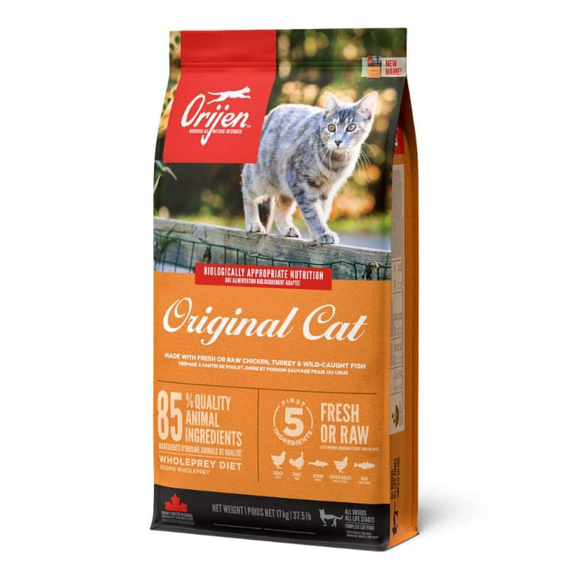 אוריג'ן לחתולים וחתלתולים 17 ק"ג