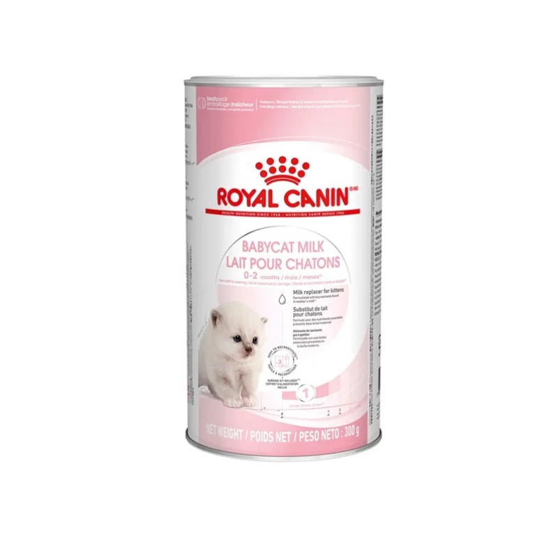 אבקת תחליף חלב לגורי חתול רויאל קנין 300 גרם