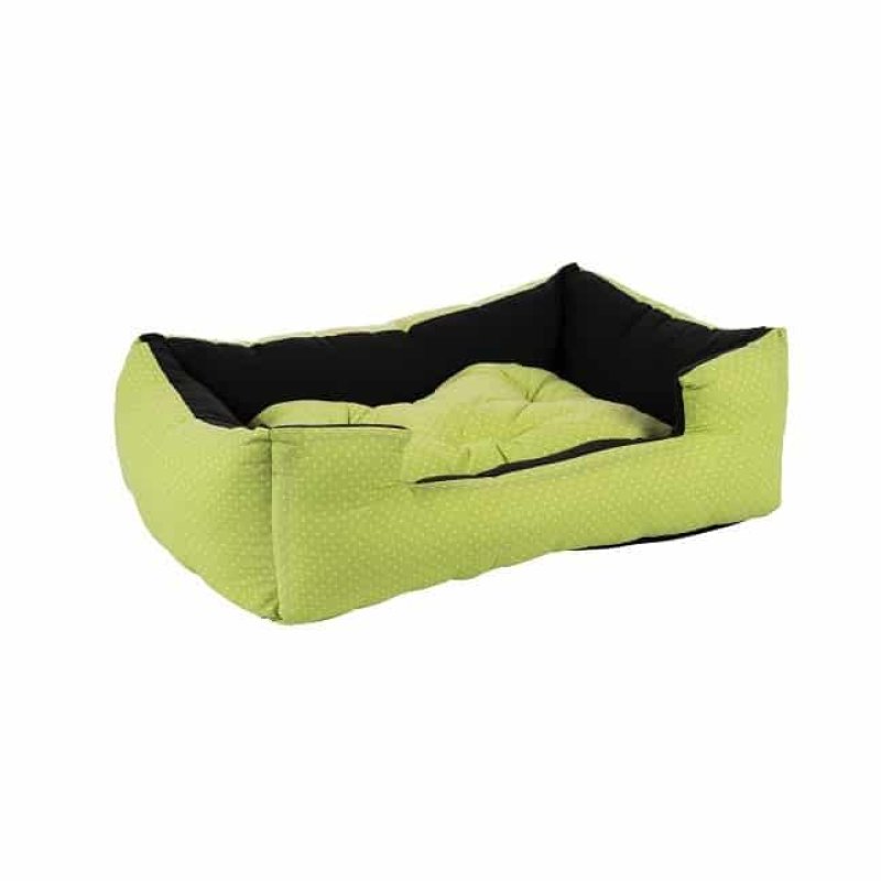 מיטה כותנה צבע ירוק נקודות