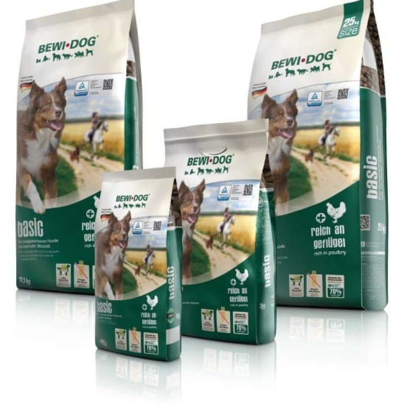 בווי דוג בייסיק