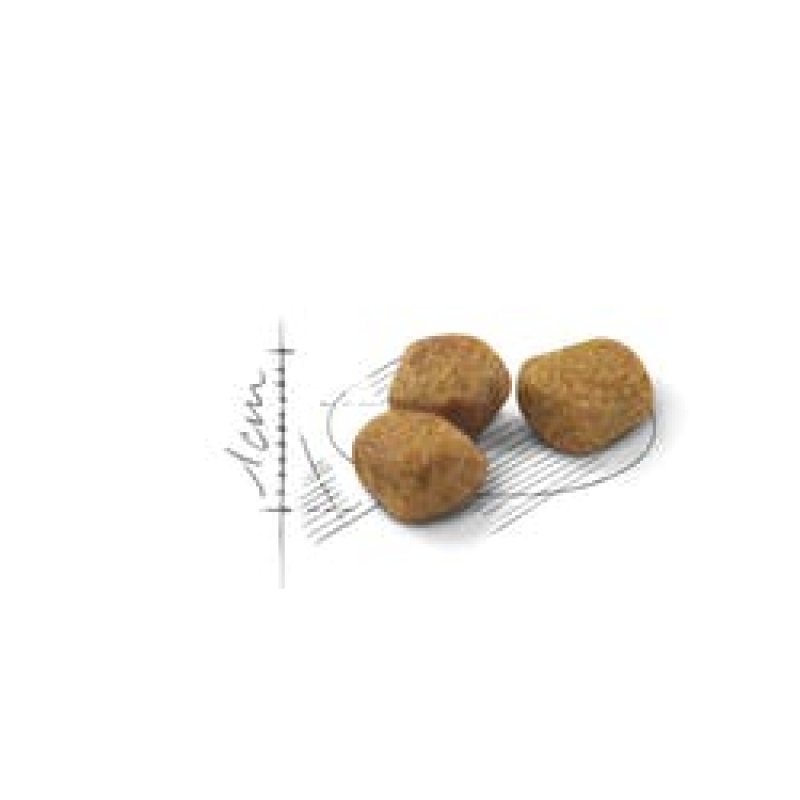רויאל קנין לחתול אינדור +7 3.5 ק"ג