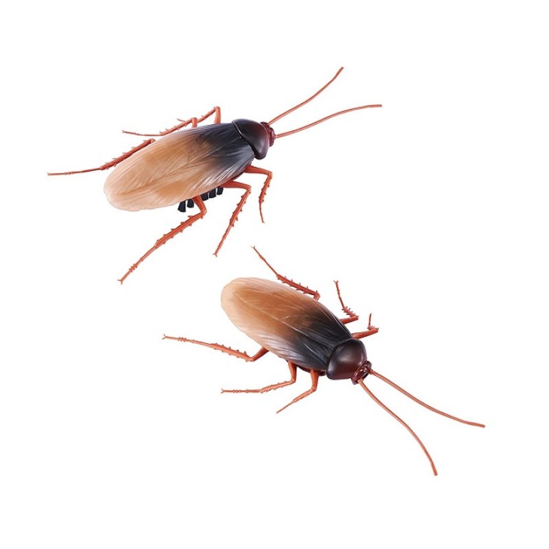 ג'וק רובוט מציאותי עובד על סוללה