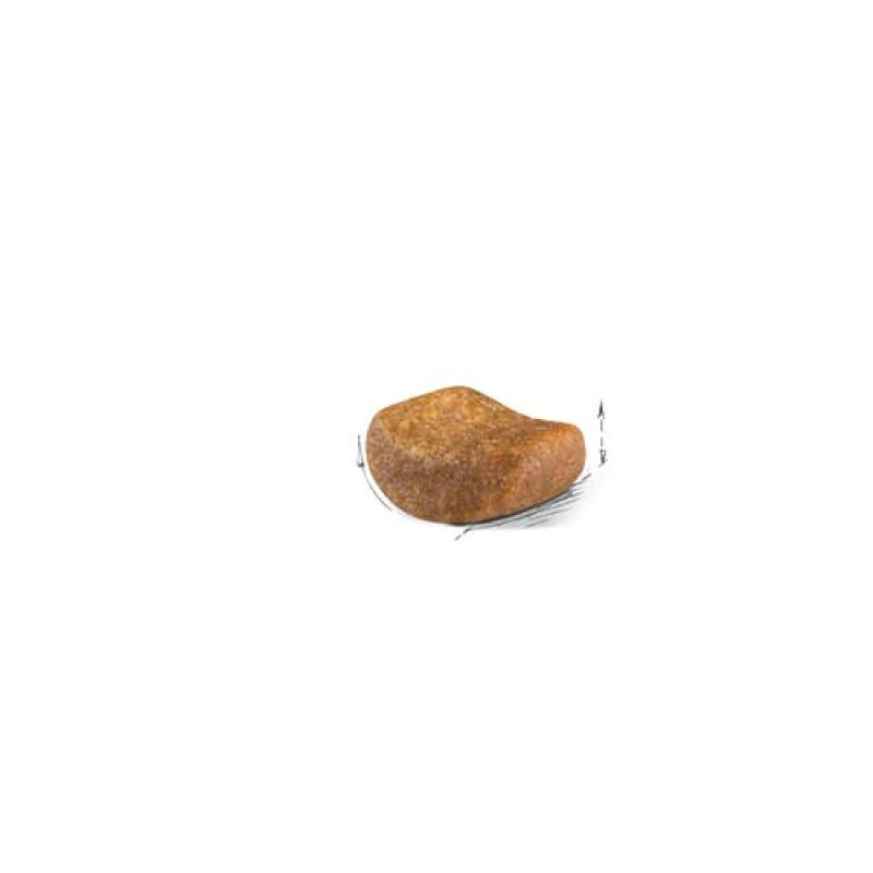 רויאל קנין לחתול בריטי